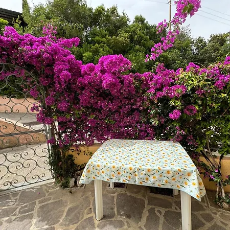 Villino Norsi Apartment Portoferraio Exterior photo
