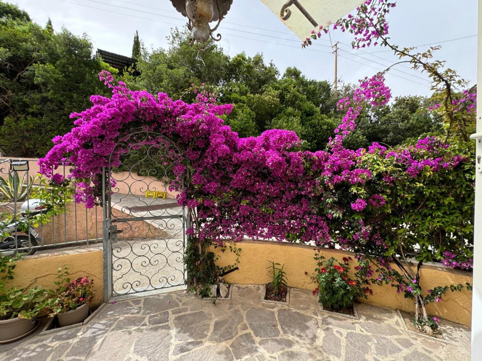 Villino Norsi * Portoferraio
